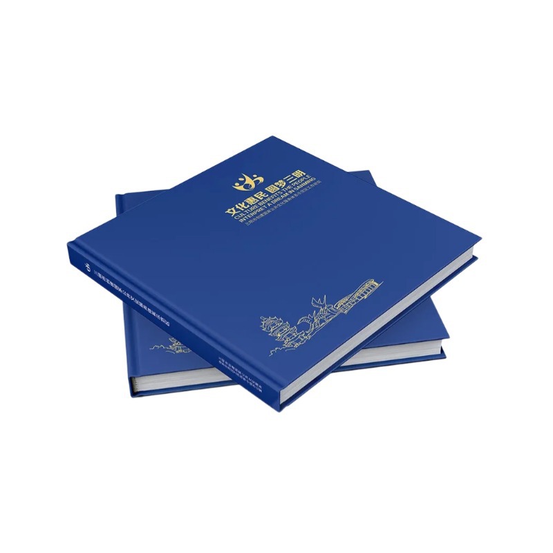 学校招生简章书刊制作方案